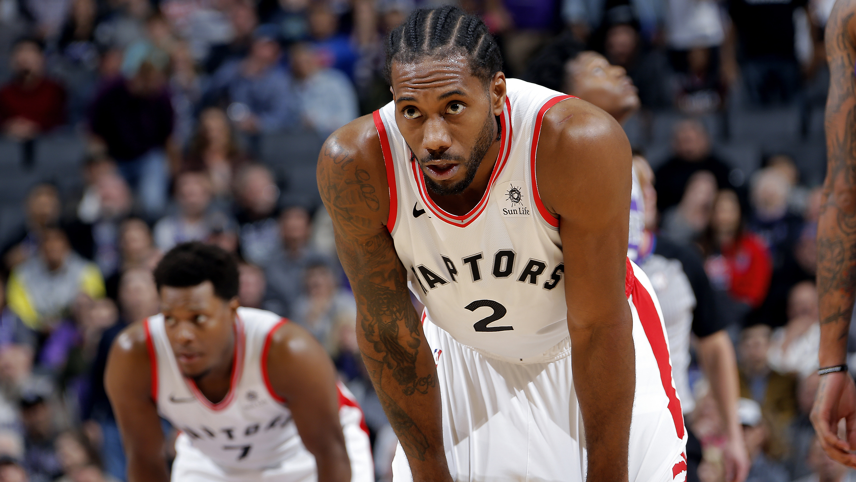 缝隙中成长 缝隙中成长